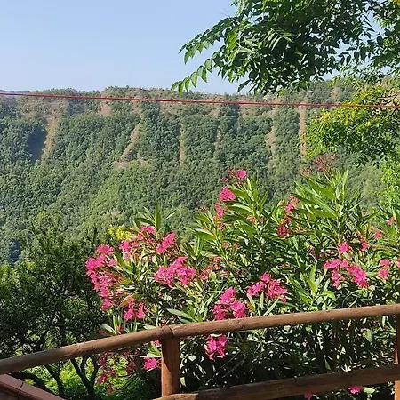 Casa Con Vista Panoramica A Cerreto Di Cagli - Animali Ammessi Holiday home Pianello (Marche)